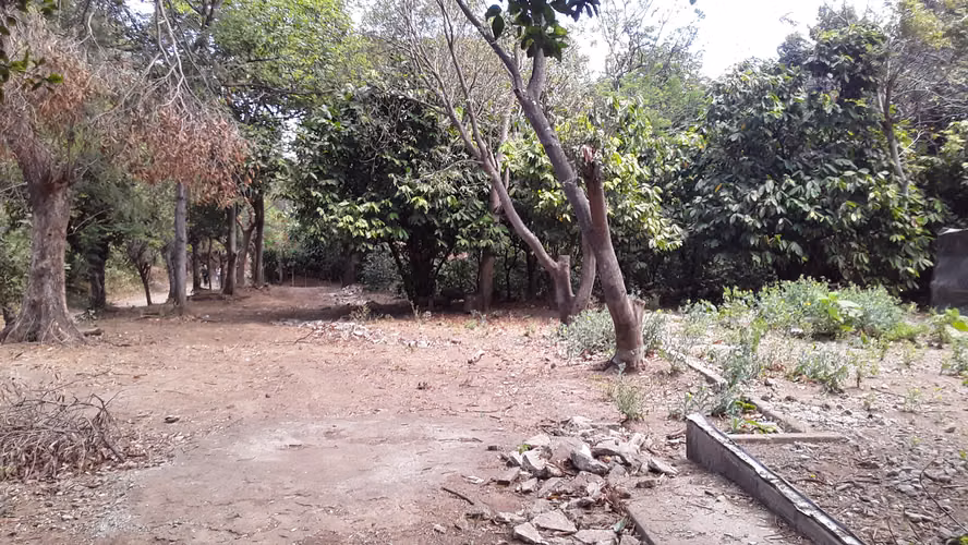 Hermosa finca en venta – Carretera Sur