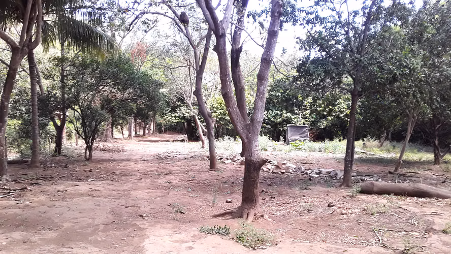 Beautiful farm for sale – South Highway