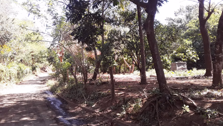 Hermosa finca en venta – Carretera Sur