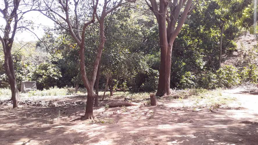 Hermosa finca en venta – Carretera Sur