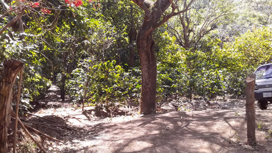 Hermosa finca en venta – Carretera Sur