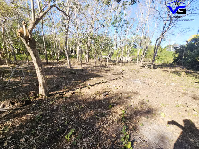 ¡LOTES DE TERRENOS EN JINOTEPE!