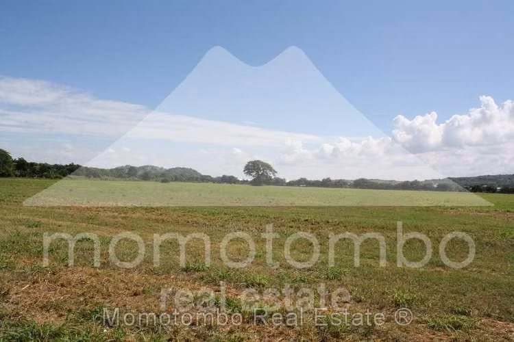Terreno en Venta Carretera Nueva A León/los Brasiles, Managua - Imagen 7