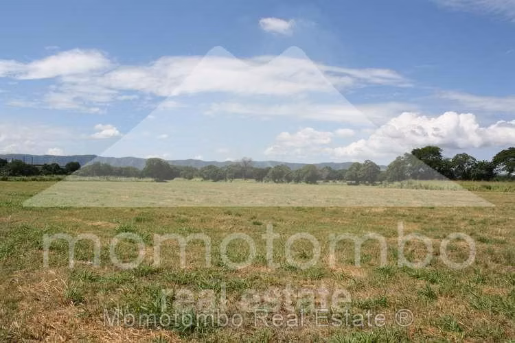 Terreno en Venta Carretera Nueva A León/los Brasiles, Managua - Imagen 8