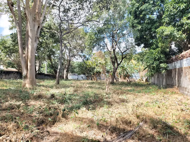 SL-Vendo terreno en Carretera Masaya km 15 - Imagen 7