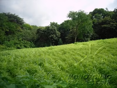 Venta de Terreno en Carretera Sur
