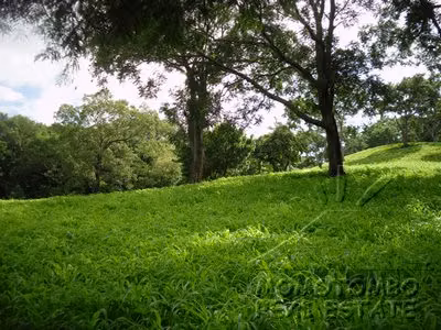 Venta de Terreno en Carretera Sur