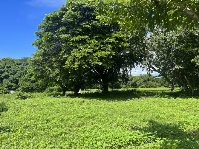 Se Vende Terreno en la Carretera Masaya km. 18.2 - Imagen 6