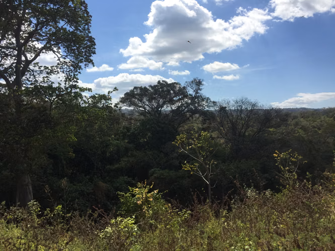 Venta de Finca en Carretera Sur