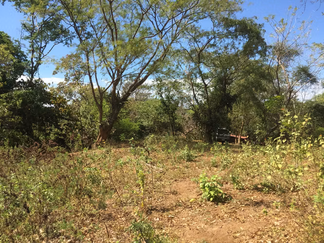 Venta de Finca en Carretera Sur