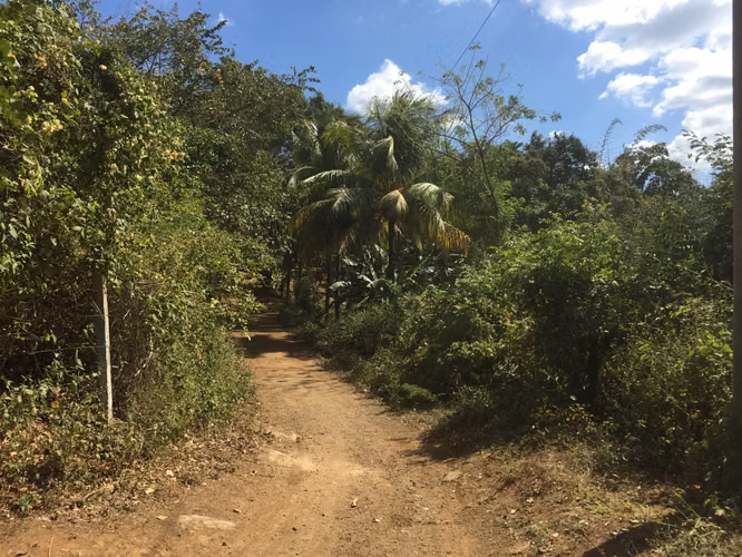 Venta de Finca en Carretera Sur