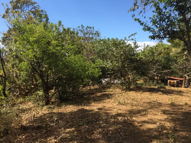 Venta de Finca en Carretera Sur