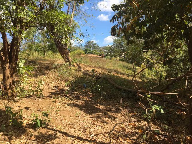 Venta de Finca en Carretera Sur