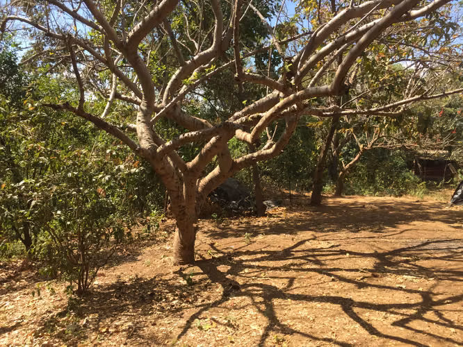 Venta de Finca en Carretera Sur