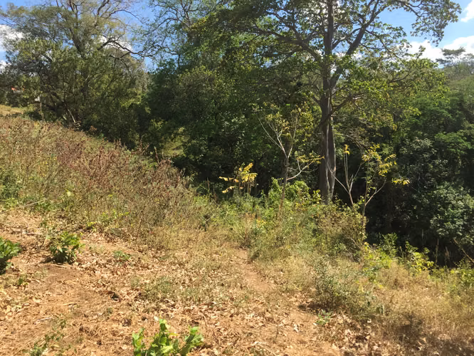 Venta de Finca en Carretera Sur