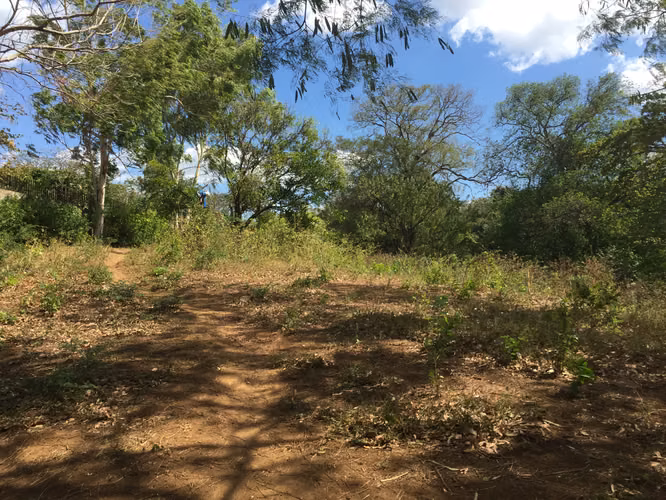 Venta de Finca en Carretera Sur
