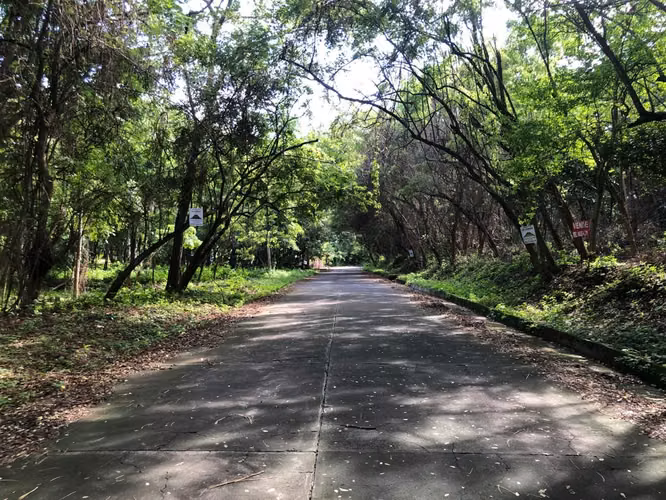 Venta de Terreno en Santo Domingo - Imagen 3