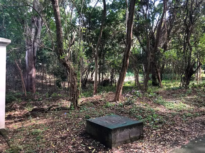 Venta de Terreno en Santo Domingo - Imagen 10
