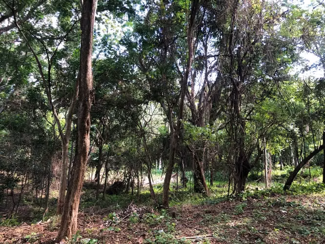 Venta de Terreno en Santo Domingo - Imagen 13