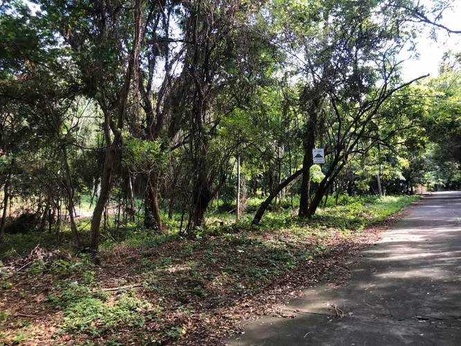 Venta de Terreno en Santo Domingo - Imagen 5
