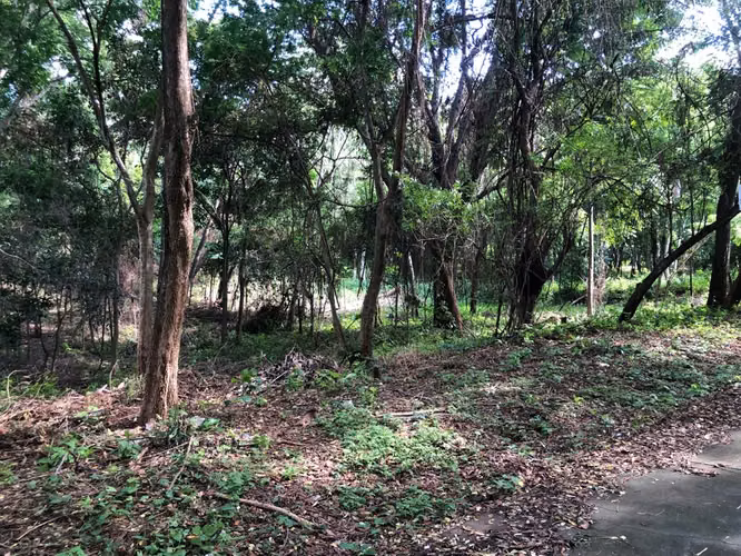 Venta de Terreno en Santo Domingo - Imagen 7