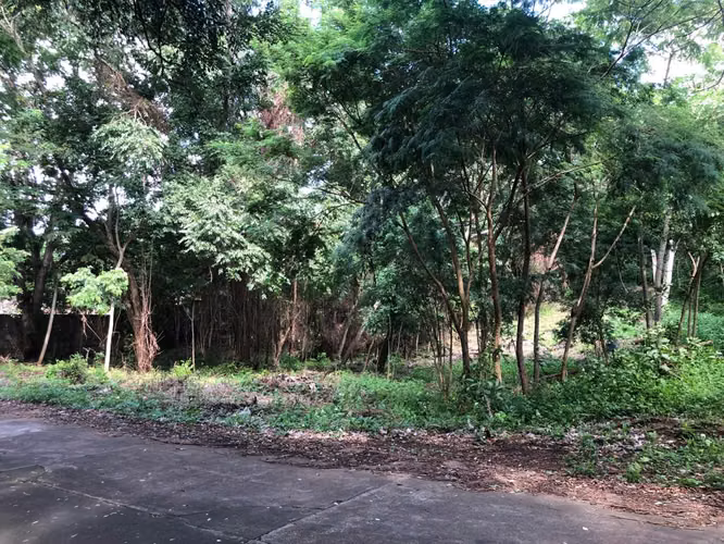 Venta de Terreno en Santo Domingo - Imagen 8