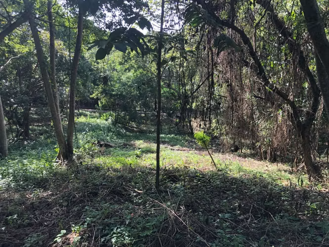 Venta de Terreno en Santo Domingo - Imagen 11