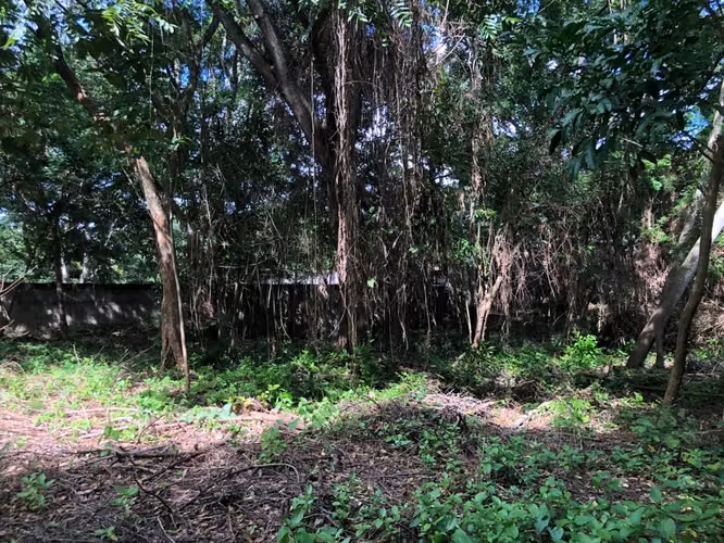 Venta de Terreno en Santo Domingo - Imagen 12