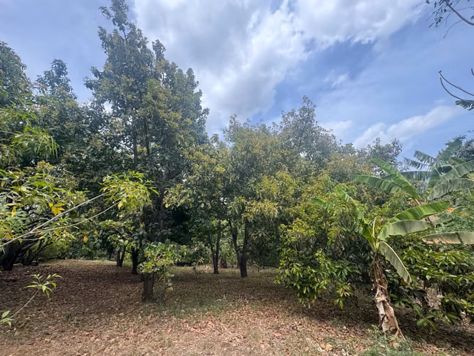 Venta de Terreno en Santo Domingo - Imagen 9