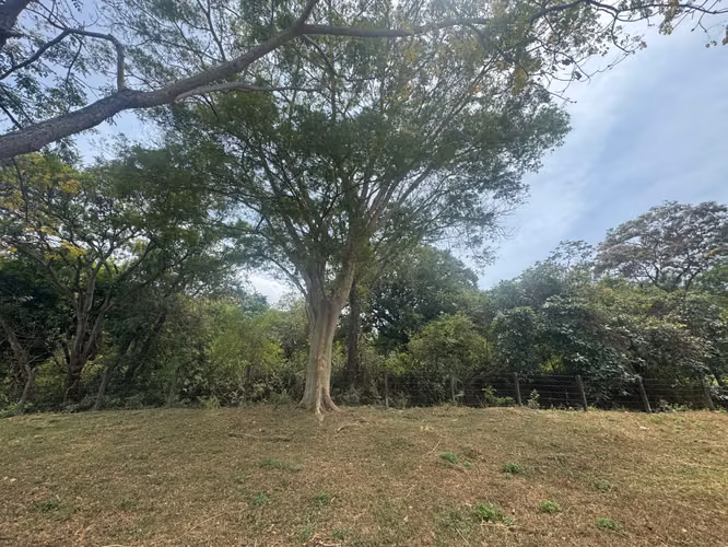 Venta de Terreno en Santo Domingo - Imagen 5