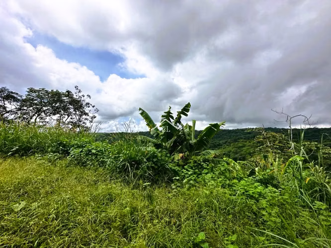 LL-Se Vende Terreno en Las Nubes, El Crucero con un Área del terreno de 5,000 v² - Imagen 8