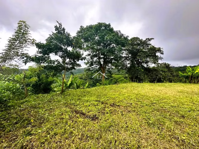 LL-Se Vende Terreno en Las Nubes, El Crucero con un Área del terreno de 5,000 v² - Imagen 1