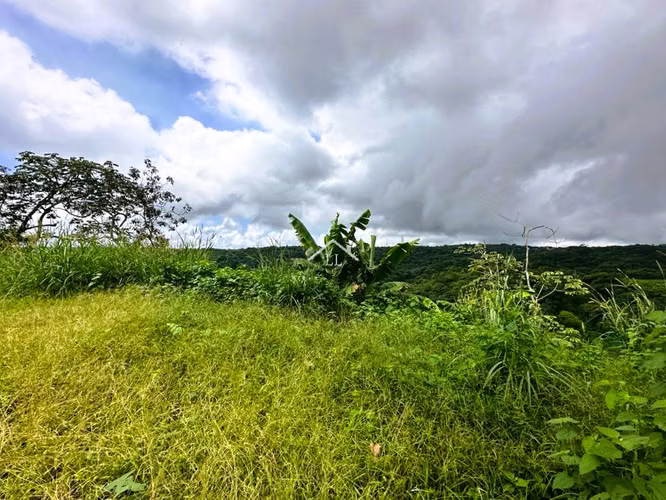 LL-Se Vende Terreno en Las Nubes, El Crucero con 15,000 v² de terreno - Imagen 8