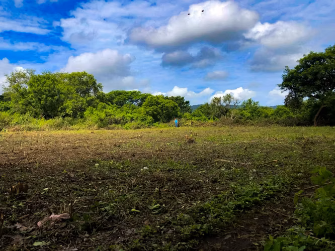 ¡Amplio lote disponible en Km 13 Carretera Vieja a León! - Imagen 5