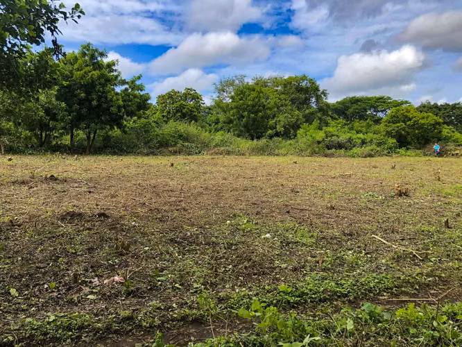 ¡Amplio lote disponible en Km 13 Carretera Vieja a León! - Imagen 4
