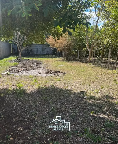 SE VENDE TERRENO EN VERACRUZ, km 14 carretera a Masaya - Imagen 2