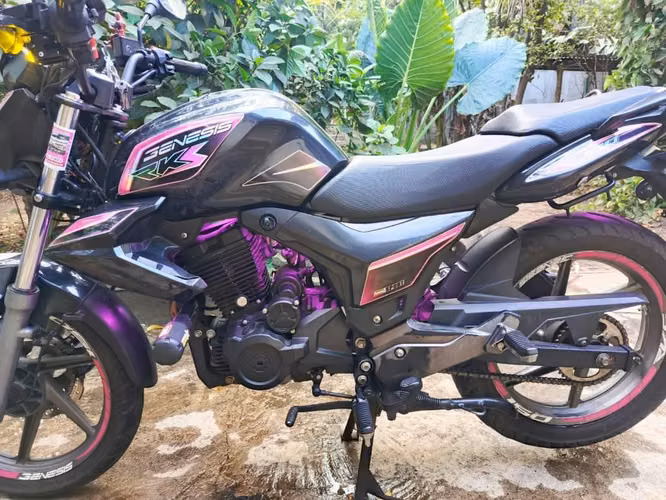 GENESIS RKS 2024