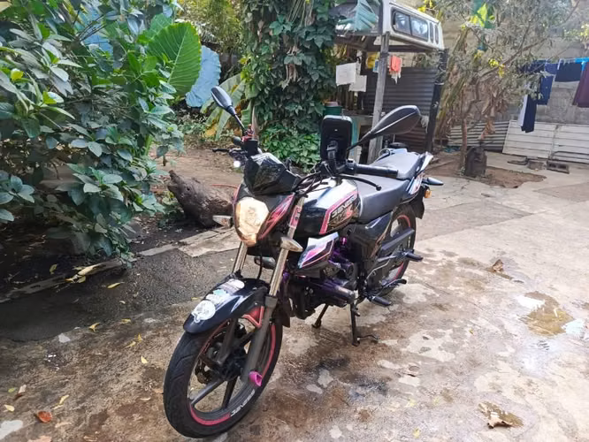 GENESIS RKS 2024
