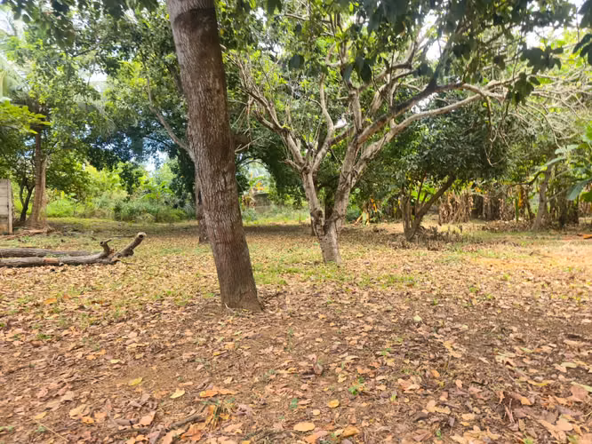 Se Vende Terreno de 4,791.87vr2 en la Entrada de Las Sierritas de Santo Domingo. CV