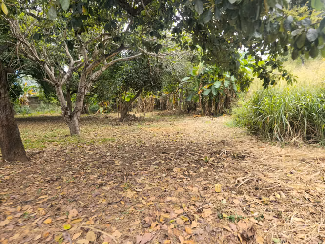 Se Vende Terreno de 4,791.87vr2 en la Entrada de Las Sierritas de Santo Domingo. CV