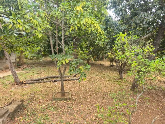 Se Vende Terreno de 4,791.87vr2 en la Entrada de Las Sierritas de Santo Domingo. CV