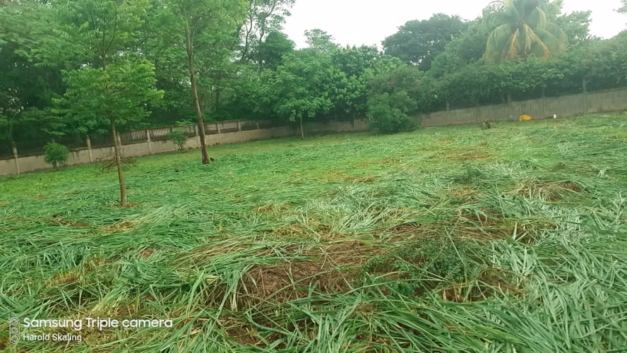 NO-Vendo terreno en Carretera Masaya km 12 - Imagen 6
