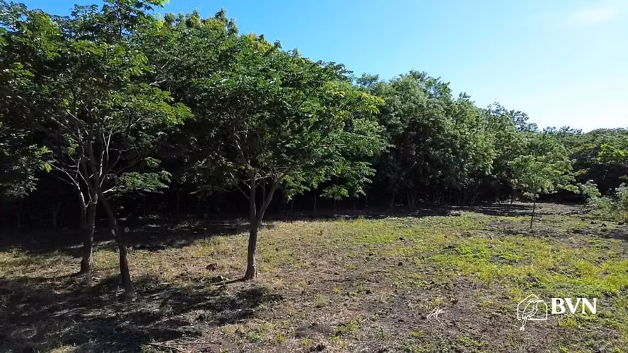 Terrenos Cerca de Playa Nacascolo y Marsella Financiamiento a 12M - Imagen 19