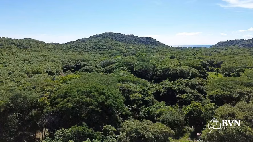 Terrenos Cerca de Playa Nacascolo y Marsella Financiamiento a 12M - Imagen 7