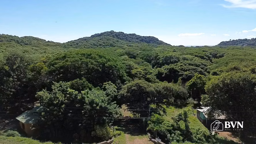 Terrenos Cerca de Playa Nacascolo y Marsella Financiamiento a 12M - Imagen 6