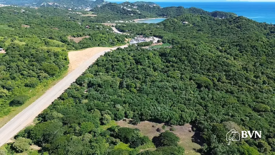 Terrenos Cerca de Playa Nacascolo y Marsella Financiamiento a 12M - Imagen 15