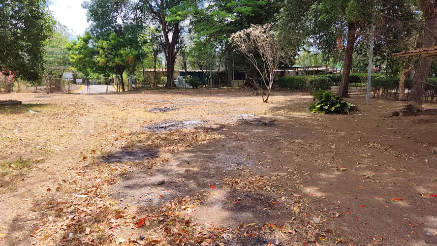 Terreno en venta .2,975 metro² | Carretera Masaya, Ideal para Negocio, Empresa o Residencia