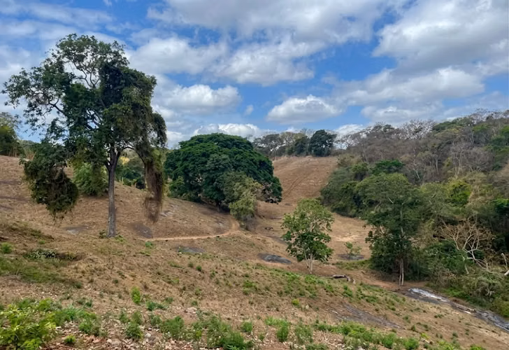 ¡OPORTUNIDAD DE INVERSIÓN! 12 Manzanas en San Isidro de Bolas, Managua