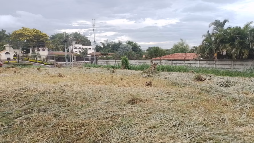 SL-Vendo terreno en Estancia de Santo Domingo