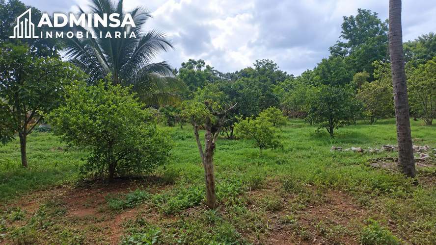  Propiedad en venta en Tisma,Masaya